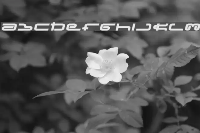 Frozen Dog Treats Font examples