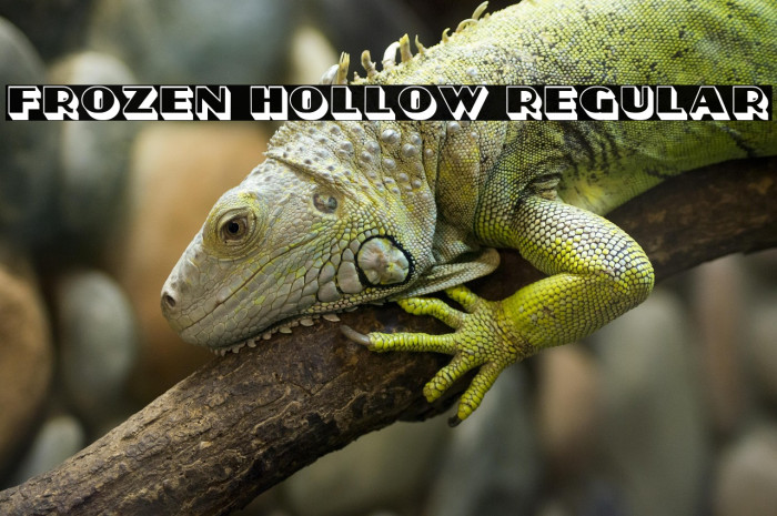 Frozen Hollow Regular Example 1