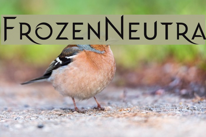 Frozen Neutra Font examples