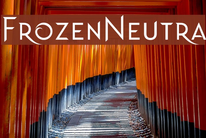 Frozen Neutra Font examples