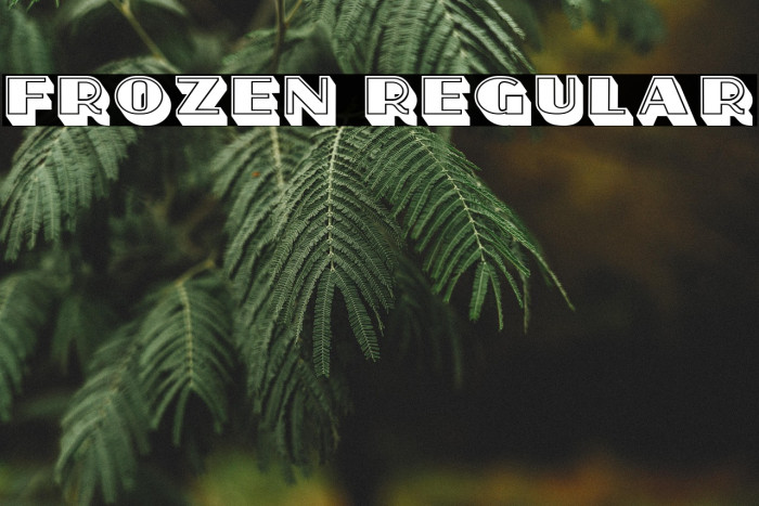 Frozen Regular Example 1