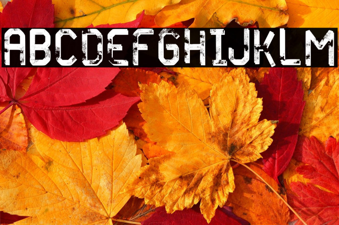 Frozen Tide Regular Example 2