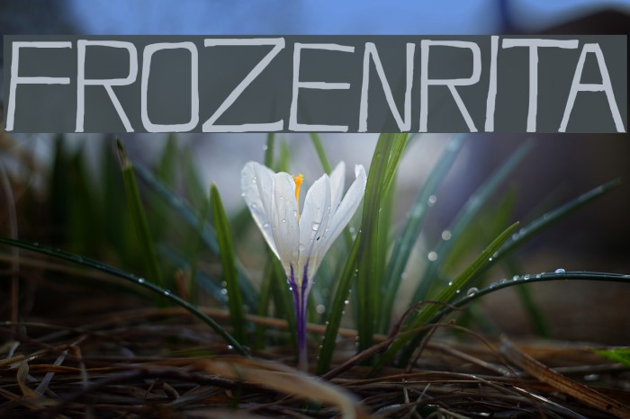 FrozenRita Example 1