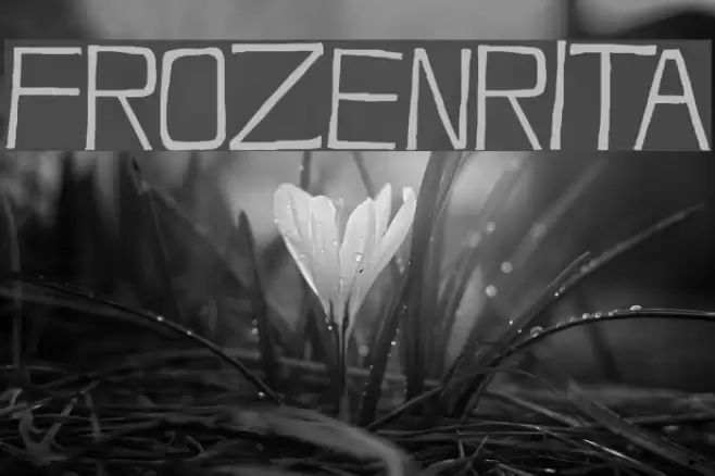 FrozenRita Font examples
