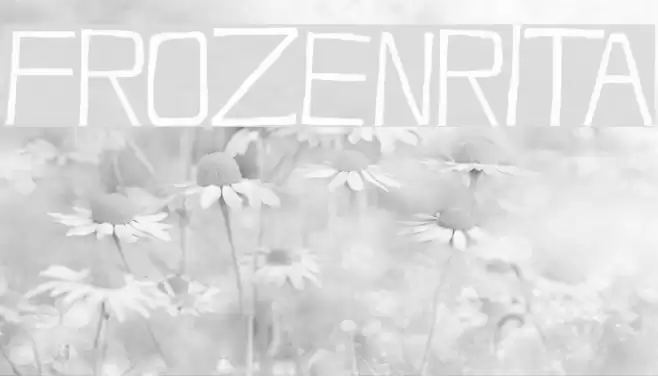FrozenRita Font examples