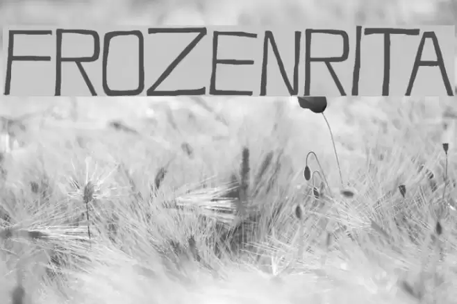 FrozenRita Font examples