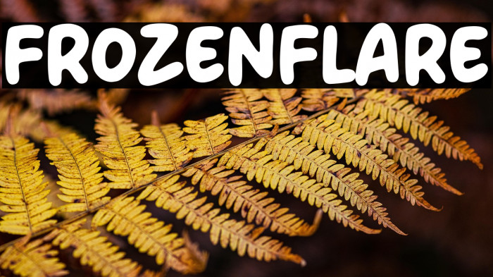 Frozenflare Example 1