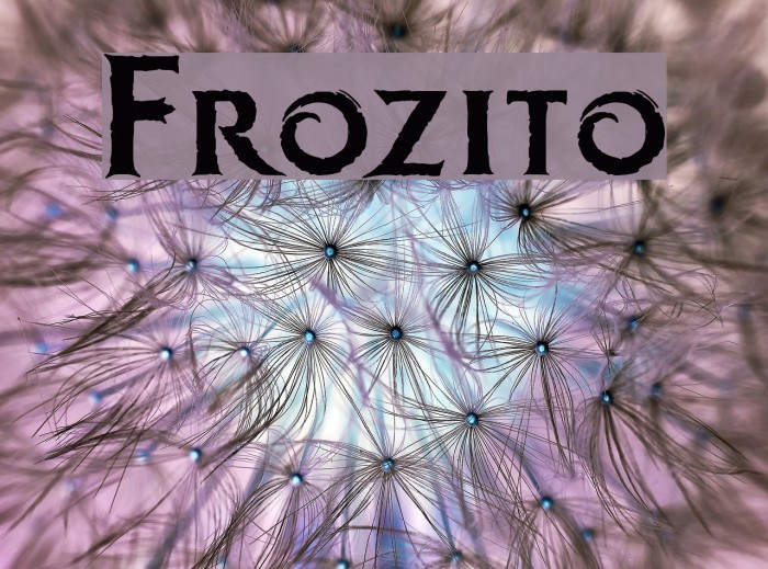 Frozito Font examples