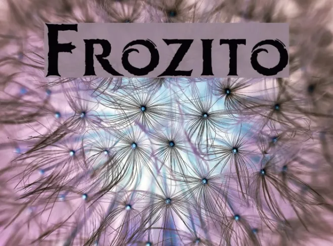 Frozito Example 1