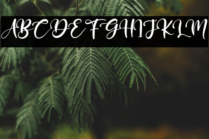 Frozzy Mosther Example 1