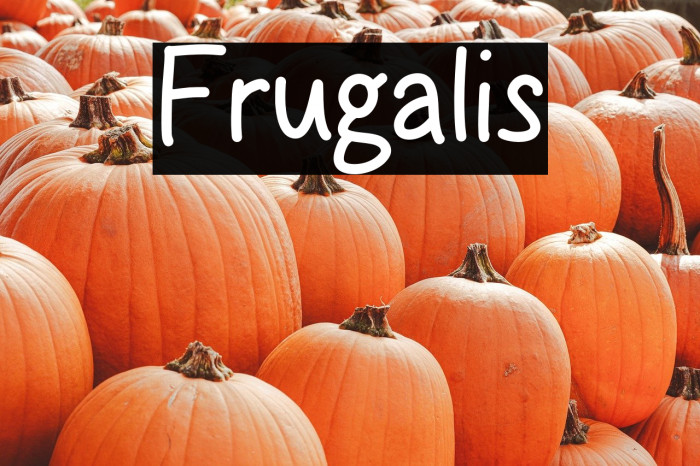 Frugalis Example 2
