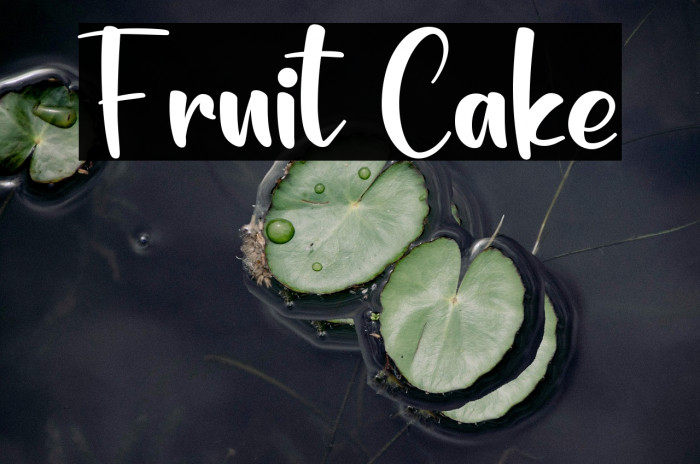 Fruit Cake Example 1