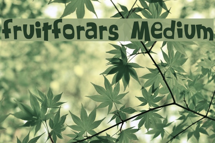 FruitForEars Medium Font examples