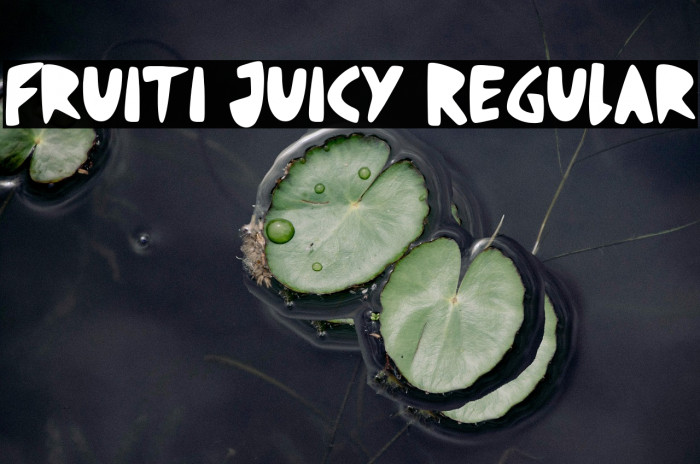 Fruiti Juicy Regular Example 1