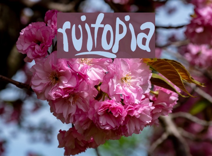 Fruitopia Font examples
