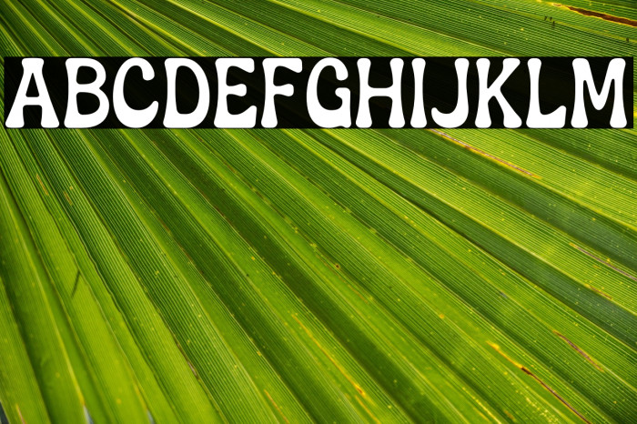 Fruits Delight Example 3