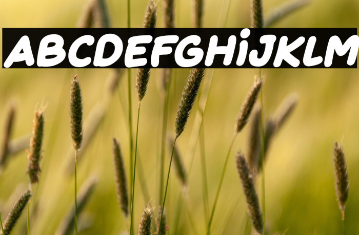 Fruity Juice Italic Example 3