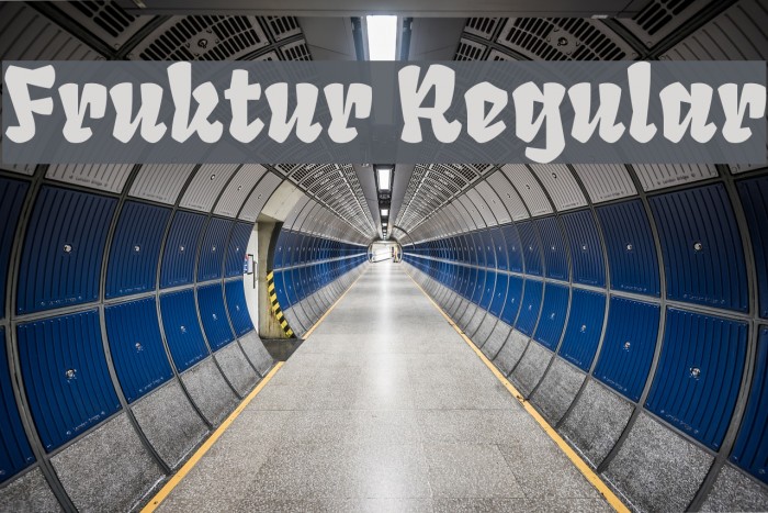 Fruktur Regular Example 1