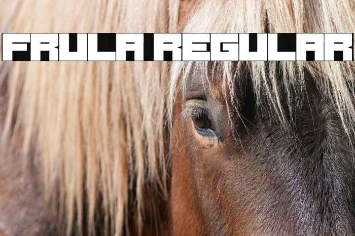 Frula Regular Example 1