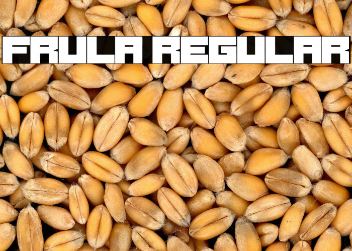 Frula Regular Example 3