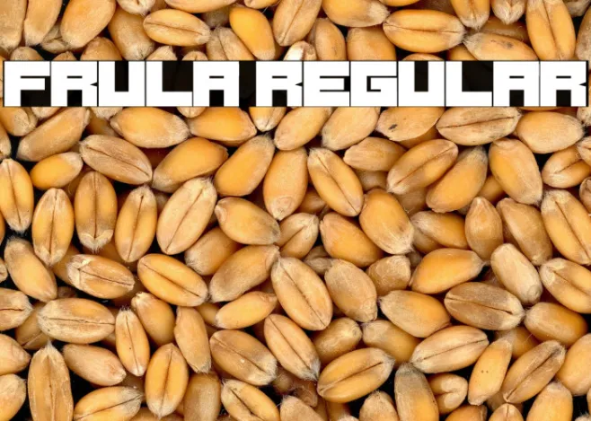 Frula Regular Example 3
