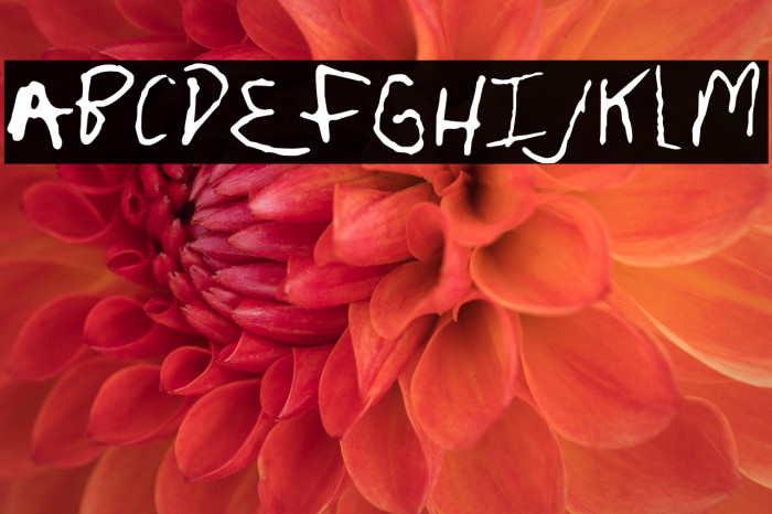 FruscianteHand Example 1