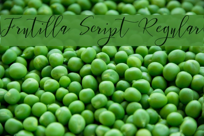 Frutilla Script Regular Font examples