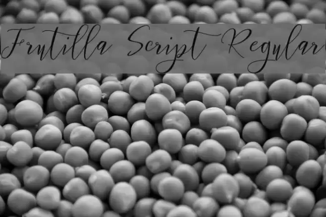 Frutilla Script Regular Font examples