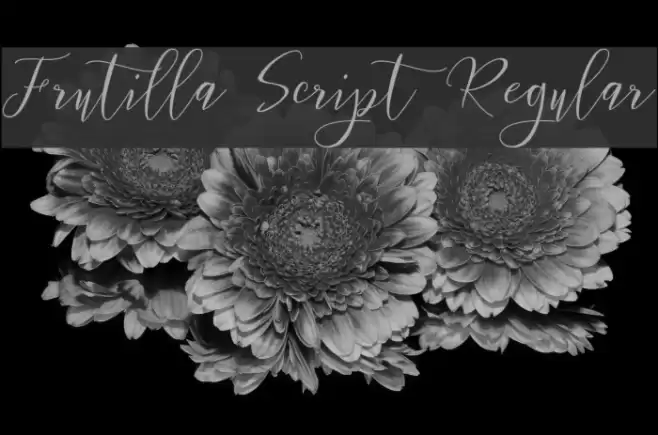 Frutilla Script Regular Font examples