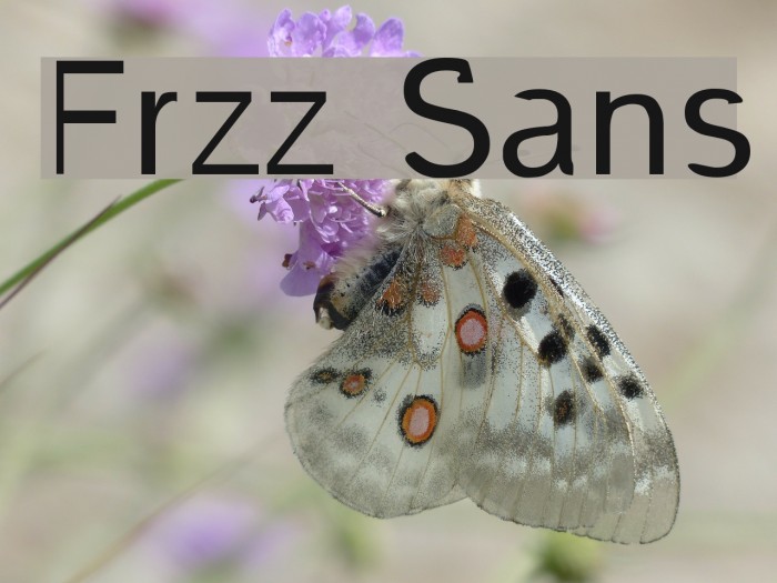 Frzz Sans Font examples
