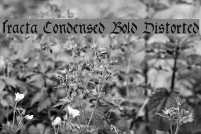 fracta Condensed Bold Distorted फ़ॉन्ट examples