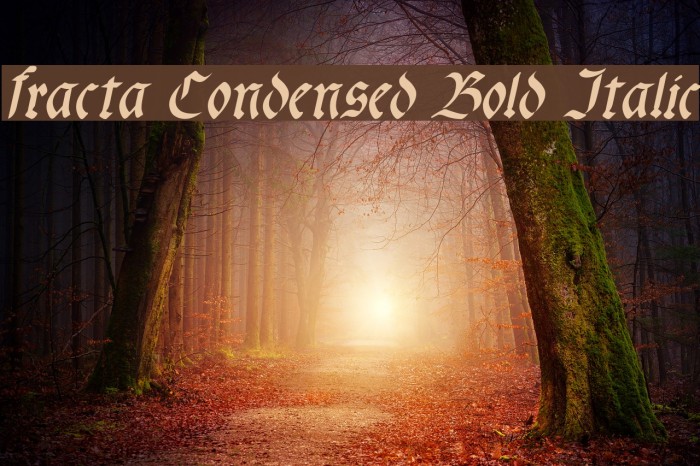fracta Condensed Bold Italic Font examples