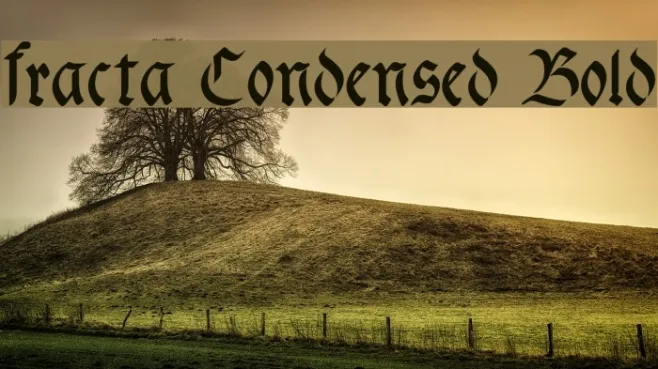 fracta Condensed Bold Example 2