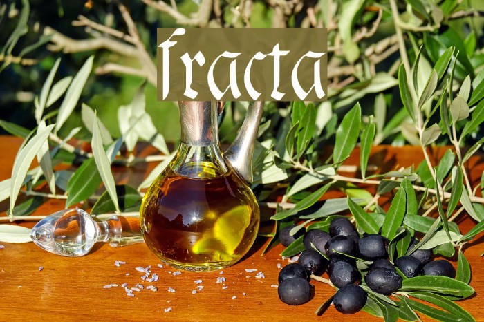 fracta Font examples
