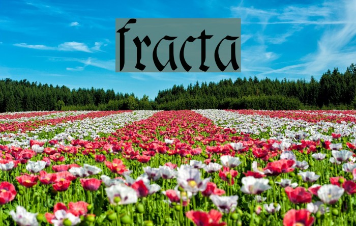 fracta Font examples