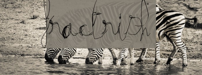 fractrish Font examples