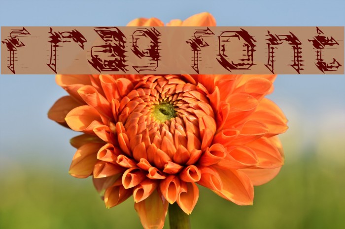 frag Font examples