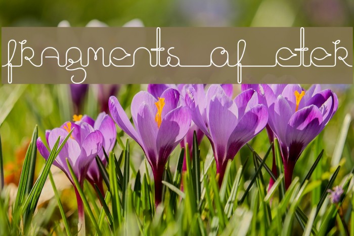 fragments_of_eter Font examples