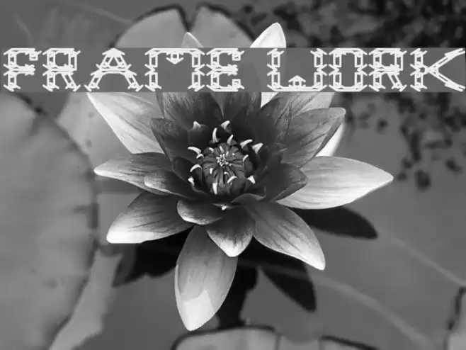 frame work Font examples