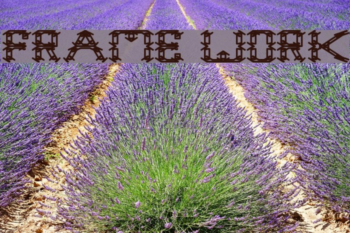 frame work Example 2