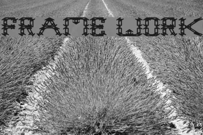 frame work Font examples