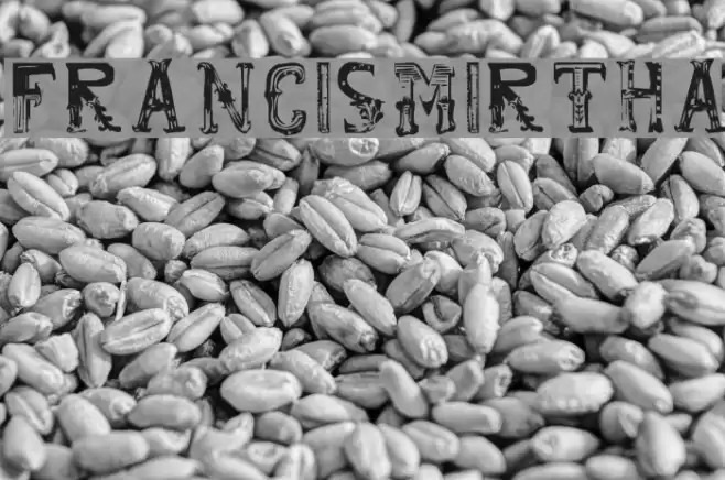 francis_mirtha Font examples