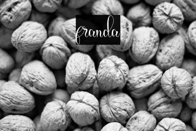 franda Font examples