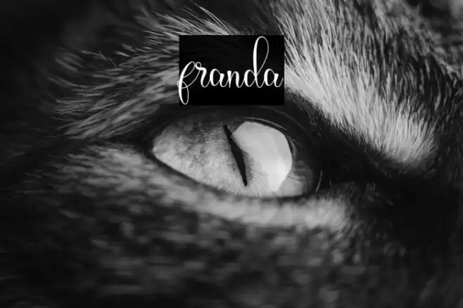 franda Font examples