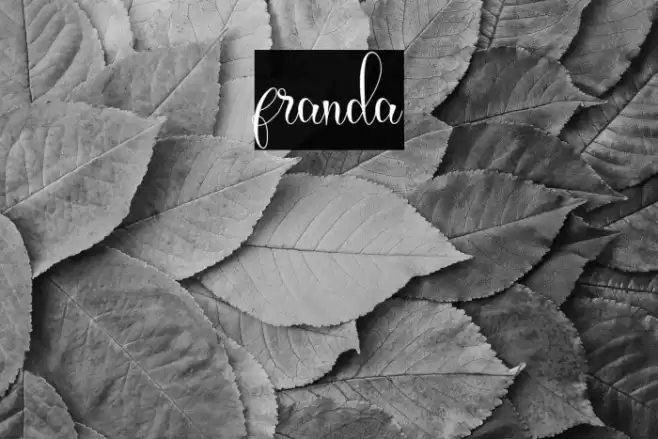 franda Font examples