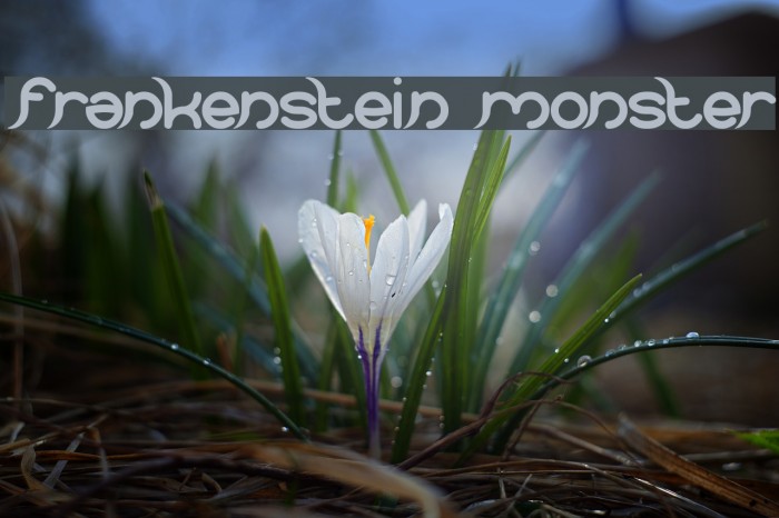 frankenstein monster Example 1