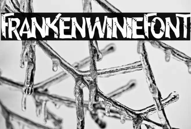 frankenwiniefont Font examples