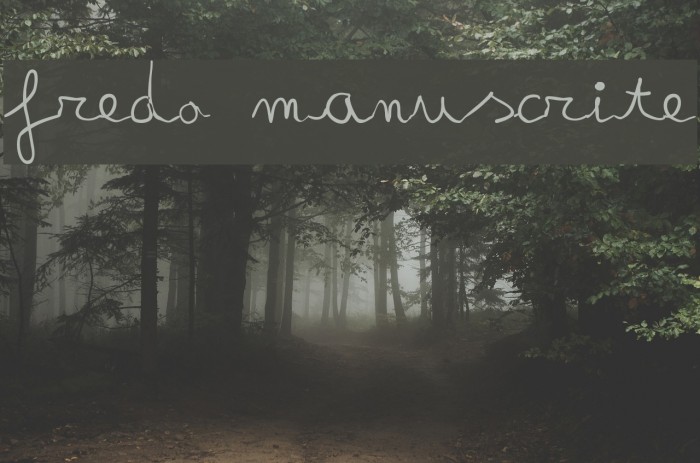 fredo manuscrite Font examples