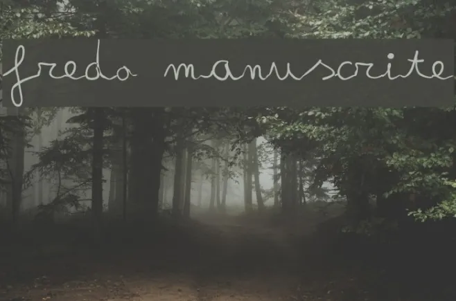 fredo manuscrite Example 1