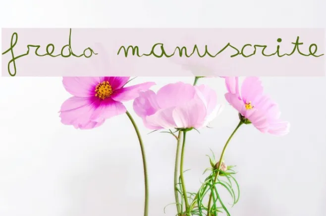 fredo manuscrite Example 2